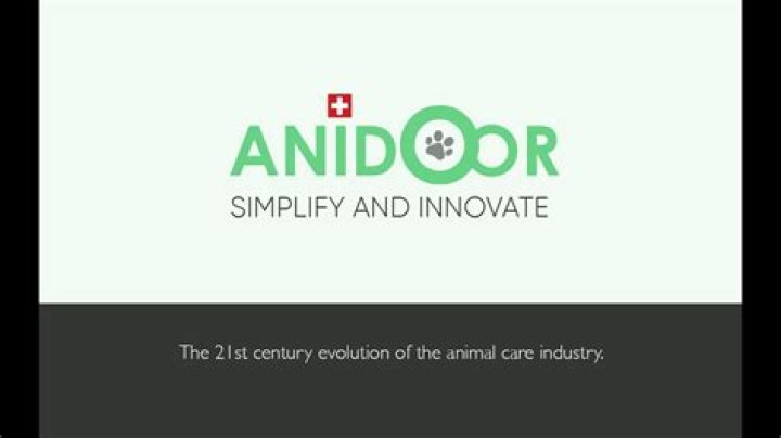 AniDoor: Your Ultimate Gateway to Premium Anime Streaming Excellence