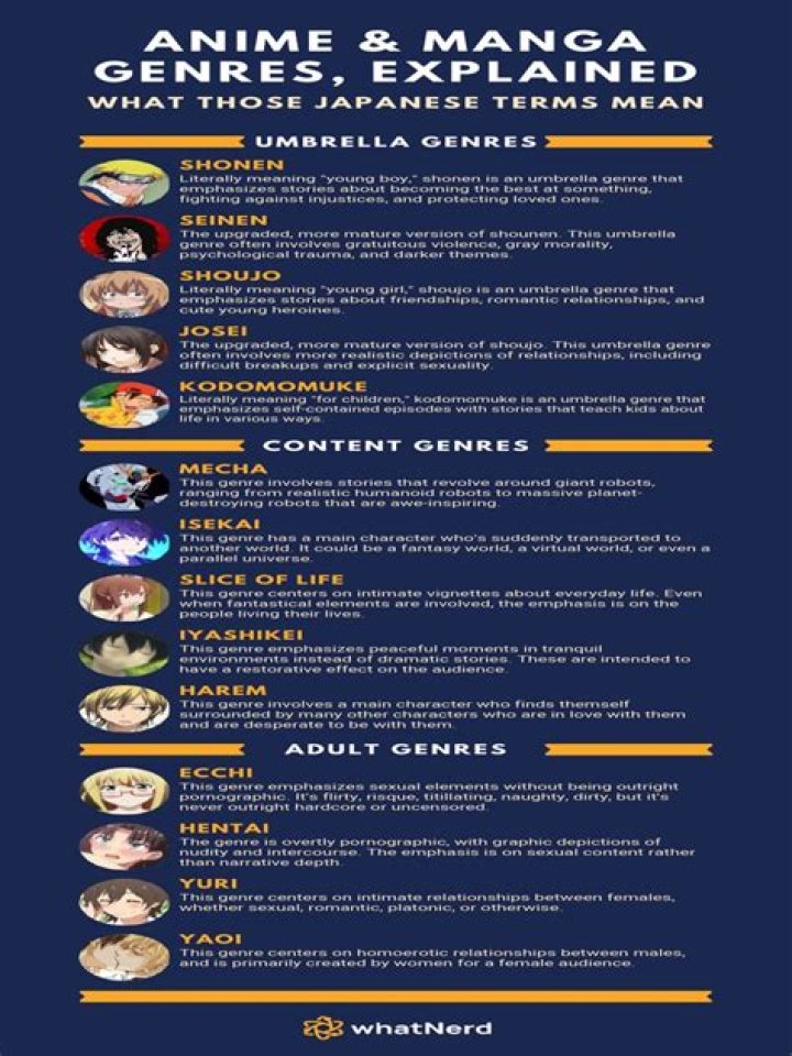 Beginner's Guide to Anime Genres Available on AnimeStream