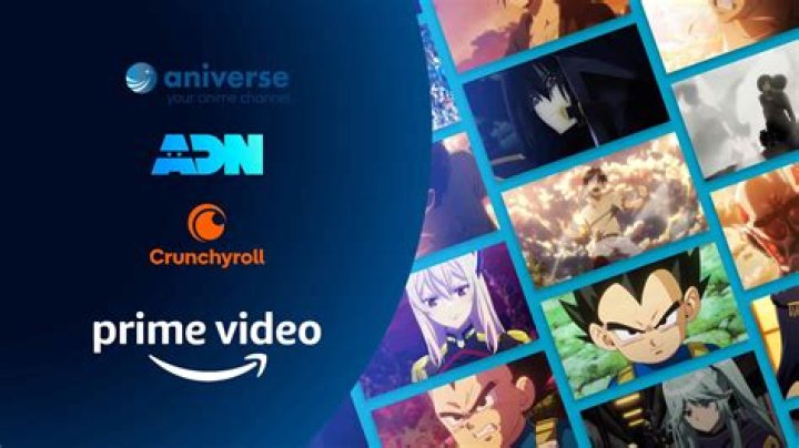 Beginner's Guide to Anime Streaming with FireAnime