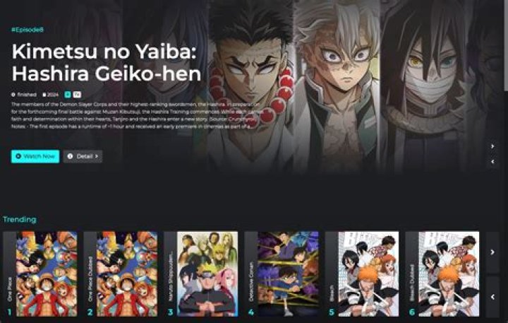 Beginner's Guide to Subbed vs Dubbed Anime Streaming on 123anime